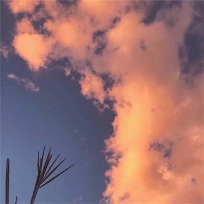 倩女手游助手app下载